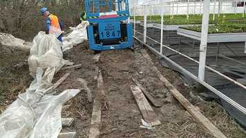 Free download Slovakia Horticultural Technological Trading(12.03.2020.) video and edit with RedcoolMedia movie maker MovieStudio video editor online and AudioStudio audio editor onlin