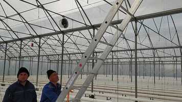 Free download Slovakia Horticultural Technological Trading(24.03.2020.) video and edit with RedcoolMedia movie maker MovieStudio video editor online and AudioStudio audio editor onlin