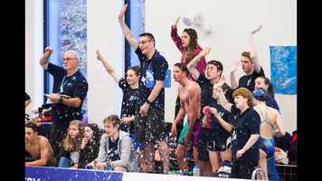 Free download SNAGs 2017 video and edit with RedcoolMedia movie maker MovieStudio video editor online and AudioStudio audio editor onlin