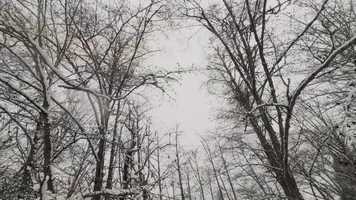 Free download Snow day in Bremerton video and edit with RedcoolMedia movie maker MovieStudio video editor online and AudioStudio audio editor onlin