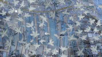 Free download snow II video and edit with RedcoolMedia movie maker MovieStudio video editor online and AudioStudio audio editor onlin