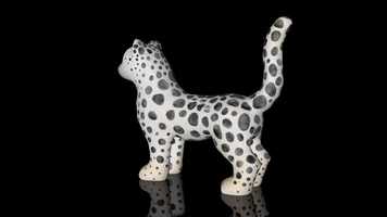 Free download Snow Leopard Cub video and edit with RedcoolMedia movie maker MovieStudio video editor online and AudioStudio audio editor onlin