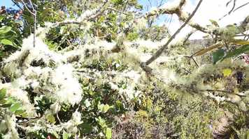 Free download Social Action to protect water video and edit with RedcoolMedia movie maker MovieStudio video editor online and AudioStudio audio editor onlin