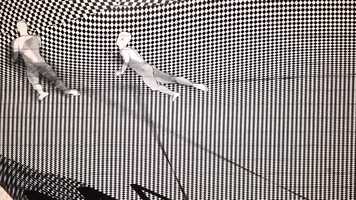 Free download Social Dynamics video and edit with RedcoolMedia movie maker MovieStudio video editor online and AudioStudio audio editor onlin