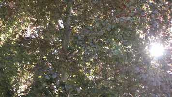 Free download Södermalm: A study video and edit with RedcoolMedia movie maker MovieStudio video editor online and AudioStudio audio editor onlin