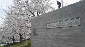 Free download sofukan.ending.movie.2019 video and edit with RedcoolMedia movie maker MovieStudio video editor online and AudioStudio audio editor onlin