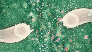 Free download So Long Seven - Cairo video and edit with RedcoolMedia movie maker MovieStudio video editor online and AudioStudio audio editor onlin