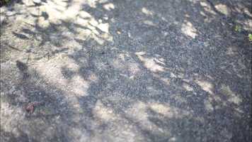 Free download Some Say video and edit with RedcoolMedia movie maker MovieStudio video editor online and AudioStudio audio editor onlin