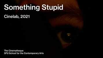 Free download Something Stupid video and edit with RedcoolMedia movie maker MovieStudio video editor online and AudioStudio audio editor onlin