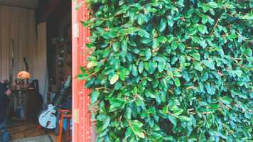 Free download Somewhere BTS Edit - Love Angeles video and edit with RedcoolMedia movie maker MovieStudio video editor online and AudioStudio audio editor onlin