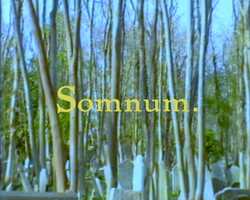 Free download Somnum. video and edit with RedcoolMedia movie maker MovieStudio video editor online and AudioStudio audio editor onlin