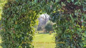 Free download Song of Myself video and edit with RedcoolMedia movie maker MovieStudio video editor online and AudioStudio audio editor onlin