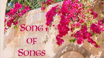 Free download Song of Songs 3v8-11 The Royal Wedding video and edit with RedcoolMedia movie maker MovieStudio video editor online and AudioStudio audio editor onlin