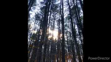 Free download Songs with Our Eyes Closed video and edit with RedcoolMedia movie maker MovieStudio video editor online and AudioStudio audio editor onlin