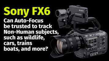 Free download Sony FX6:  Can Auto-Focus be trusted to track Non-Human subjects? video and edit with RedcoolMedia movie maker MovieStudio video editor online and AudioStudio audio editor onlin