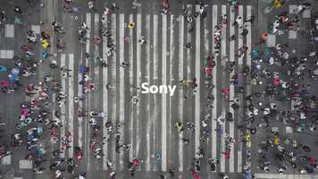 Free download Sony_ IoT video and edit with RedcoolMedia movie maker MovieStudio video editor online and AudioStudio audio editor onlin