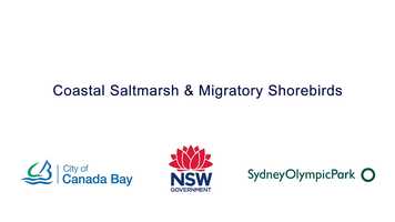 Free download sopa-canadabay-saltmarsh - HD 1080p video and edit with RedcoolMedia movie maker MovieStudio video editor online and AudioStudio audio editor onlin