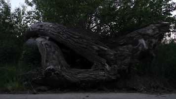 Free download Souche de sortie video and edit with RedcoolMedia movie maker MovieStudio video editor online and AudioStudio audio editor onlin