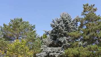 Free download Sound Project (Work in Progress) video and edit with RedcoolMedia movie maker MovieStudio video editor online and AudioStudio audio editor onlin