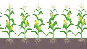 Free download Source Animation video and edit with RedcoolMedia movie maker MovieStudio video editor online and AudioStudio audio editor onlin