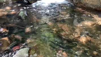 Free download Space Clip: Modern Yoga for Mindfulness video and edit with RedcoolMedia movie maker MovieStudio video editor online and AudioStudio audio editor onlin