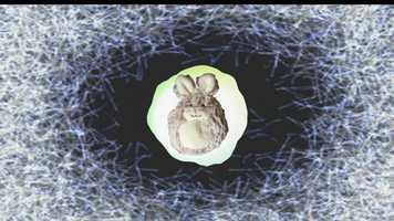 Free download Space Gibbon Tales.. Part 8 end of season 1 plenty of answers video and edit with RedcoolMedia movie maker MovieStudio video editor online and AudioStudio audio editor onlin