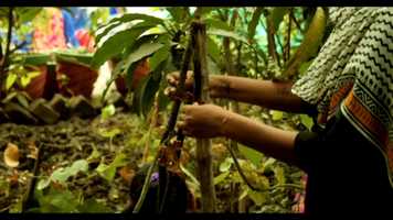 Free download Spark Hope Time Opening video and edit with RedcoolMedia movie maker MovieStudio video editor online and AudioStudio audio editor onlin