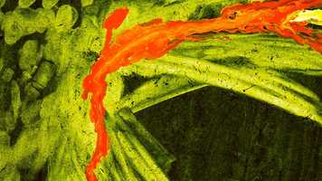 Free download speak no more video and edit with RedcoolMedia movie maker MovieStudio video editor online and AudioStudio audio editor onlin