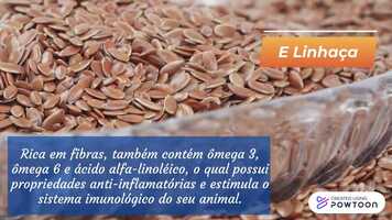 Free download Special Puppy video and edit with RedcoolMedia movie maker MovieStudio video editor online and AudioStudio audio editor onlin