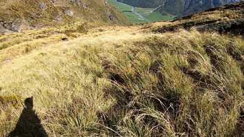 Free download Speedflying Trip New Zealand 2019 video and edit with RedcoolMedia movie maker MovieStudio video editor online and AudioStudio audio editor onlin