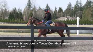 Free download Spherical 17 and Tale Of Honoree 17 Training 1-18-19 video and edit with RedcoolMedia movie maker MovieStudio video editor online and AudioStudio audio editor onlin