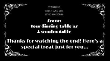 Free download Spiders are watching you by poppy.w video and edit with RedcoolMedia movie maker MovieStudio video editor online and AudioStudio audio editor onlin