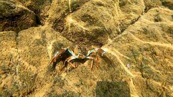 Free download Spillway 2 (Rain) video and edit with RedcoolMedia movie maker MovieStudio video editor online and AudioStudio audio editor onlin