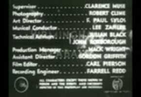 Free download Spirit of Youth video and edit with RedcoolMedia movie maker MovieStudio video editor online and AudioStudio audio editor onlin