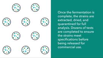 Free download SporesAnimationFxMed video and edit with RedcoolMedia movie maker MovieStudio video editor online and AudioStudio audio editor onlin