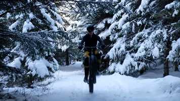 Free download Spori video and edit with RedcoolMedia movie maker MovieStudio video editor online and AudioStudio audio editor onlin