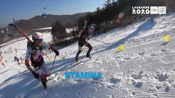 Free download Sport explainer Ski mountaineering - Lausanne2020 video and edit with RedcoolMedia movie maker MovieStudio video editor online and AudioStudio audio editor onlin