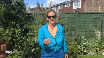 Free download Sports day 3 week challenges explained video and edit with RedcoolMedia movie maker MovieStudio video editor online and AudioStudio audio editor onlin