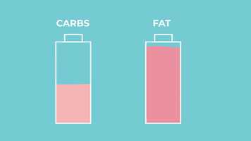 Free download Sports Research_Keto Video_3.0 video and edit with RedcoolMedia movie maker MovieStudio video editor online and AudioStudio audio editor onlin