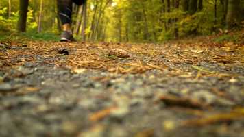 Free download Sport Trailer Produktion  Intelligent Sports video and edit with RedcoolMedia movie maker MovieStudio video editor online and AudioStudio audio editor onlin