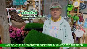 Free download Spot #2a, 2020 - ferti-lome lawn care program w Essential Business Tag video and edit with RedcoolMedia movie maker MovieStudio video editor online and AudioStudio audio editor onlin