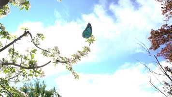 Free download Spot audiovisual - Movimiento que transforma video and edit with RedcoolMedia movie maker MovieStudio video editor online and AudioStudio audio editor onlin