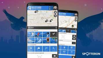 Free download SPOTTERON Citizen Science App | Add Spot Dialogue in Big City Birds video and edit with RedcoolMedia movie maker MovieStudio video editor online and AudioStudio audio editor onlin