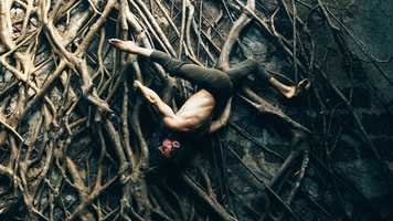 Free download Spreading the Roots | Ty Landrum | Ashtanga Yoga video and edit with RedcoolMedia movie maker MovieStudio video editor online and AudioStudio audio editor onlin