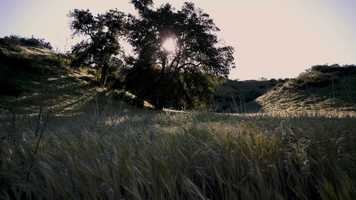 Free download Spring 2021 with SIGMA fp. video and edit with RedcoolMedia movie maker MovieStudio video editor online and AudioStudio audio editor onlin