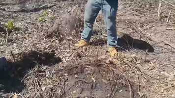 Free download Springbreak 2019 - Panama City, FL video and edit with RedcoolMedia movie maker MovieStudio video editor online and AudioStudio audio editor onlin