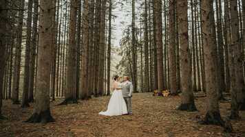 Free download Spruce Lake Farm Intimate Wedding in Bovina Center, New York - Ryan  Joe video and edit with RedcoolMedia movie maker MovieStudio video editor online and AudioStudio audio editor onlin