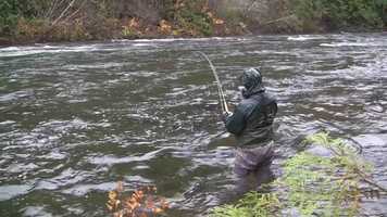 Free download Stacked Run Steelheading video and edit with RedcoolMedia movie maker MovieStudio video editor online and AudioStudio audio editor onlin