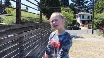 Free download Stained Glass video and edit with RedcoolMedia movie maker MovieStudio video editor online and AudioStudio audio editor onlin