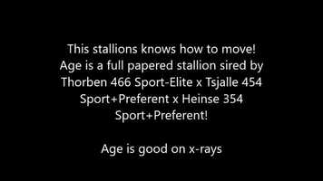 Free download Stallion - 2016 - Thorben 466 Sport-Elite x Tsjalle 454 Sport+Preferent - For sale video and edit with RedcoolMedia movie maker MovieStudio video editor online and AudioStudio audio editor onlin